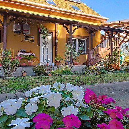Hotel Holt-Tisza Vendeghaz Szeged Exterior foto
