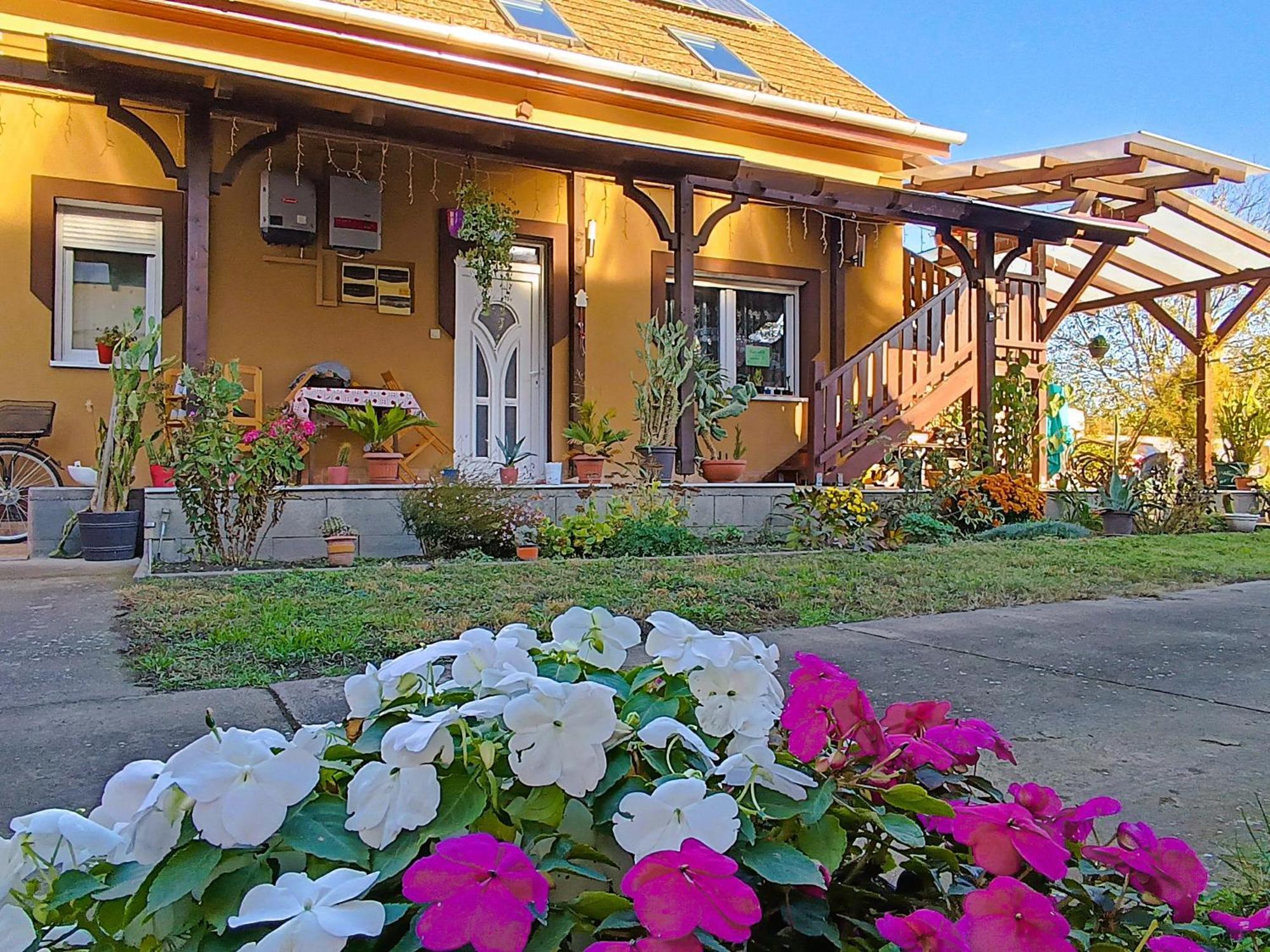 Hotel Holt-Tisza Vendeghaz Szeged Exterior foto