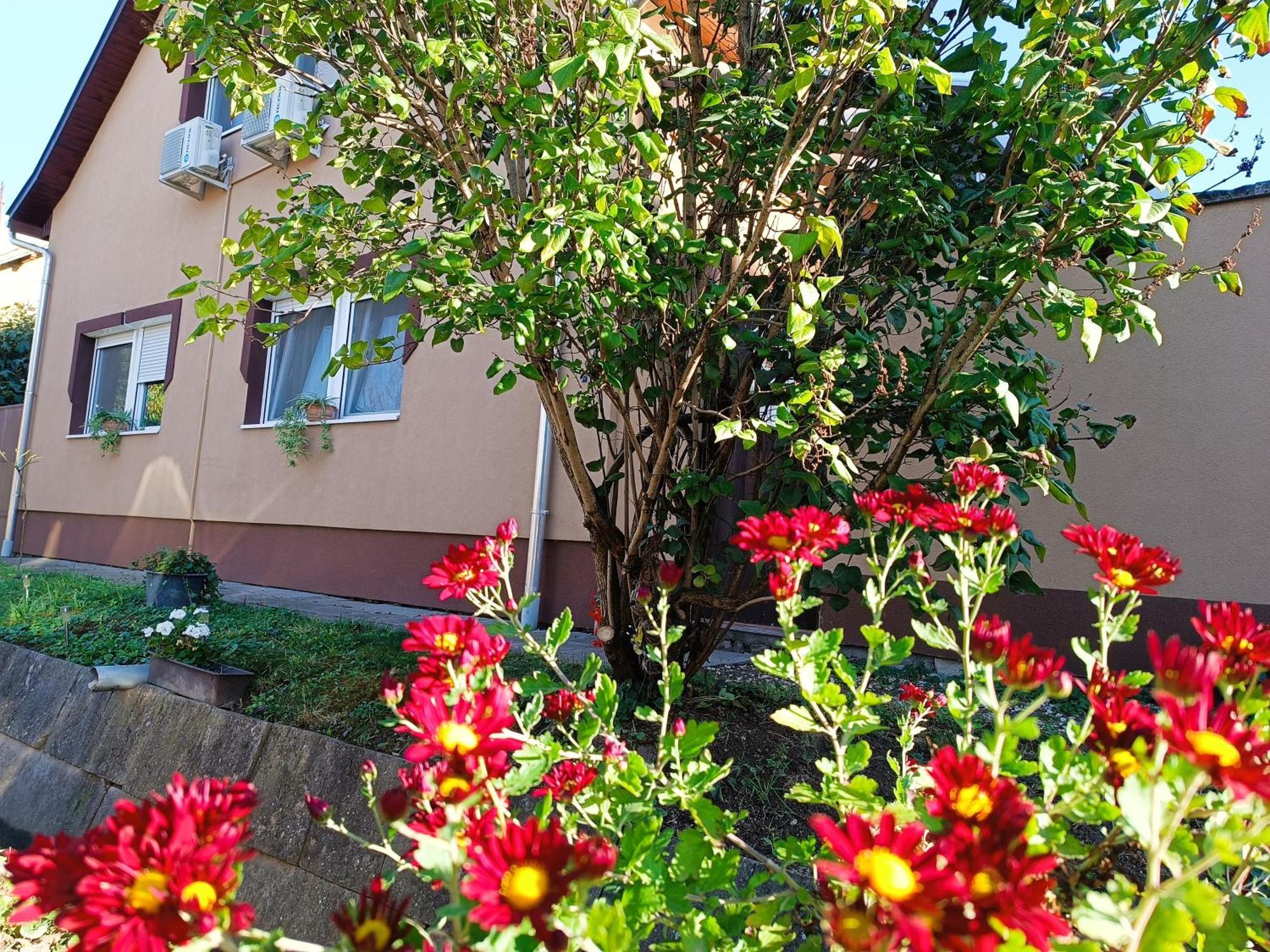 Hotel Holt-Tisza Vendeghaz Szeged Exterior foto